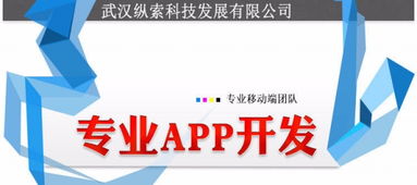 武漢縱索App開發外包公司 專業辦公系統軟件開發定制與軟件外包服務