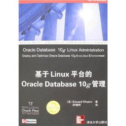 對日軟件外包服務 技術挑戰(zhàn)、市場機遇與成功之道